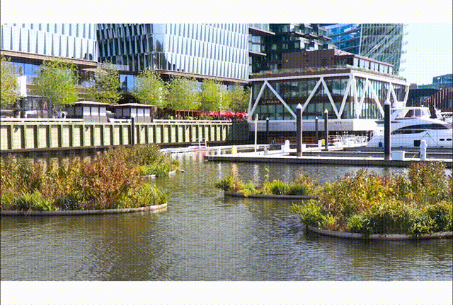 The Wharf | Washington, DC Waterfront Landscape Architecture